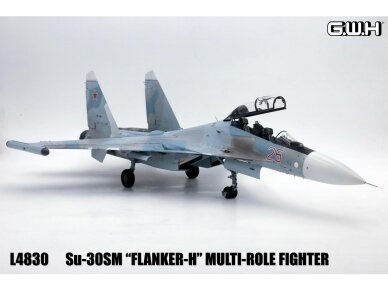 Great Wall Hobby - Su-30SM "Flanker H" Multirole Fighter Russian Air Force Multirole Fighter, 1/48, L4830 2