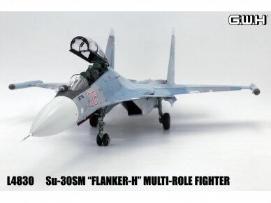 Great Wall Hobby - Su-30SM "Flanker H" Multirole Fighter Russian Air Force Multirole Fighter, 1/48, L4830 6