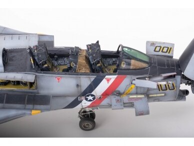 SIO Models - F-14D Super Tomcat, 1/48, K48003 5