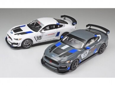 ford mustang gt4 tamiya